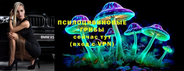 молекула духа Навашино