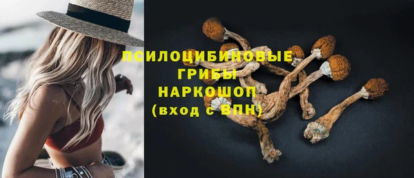 эйфоретик Надым
