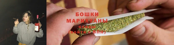 молекула духа Навашино