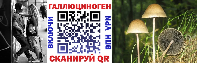 Псилоцибиновые грибы прущие грибы Нижневартовск